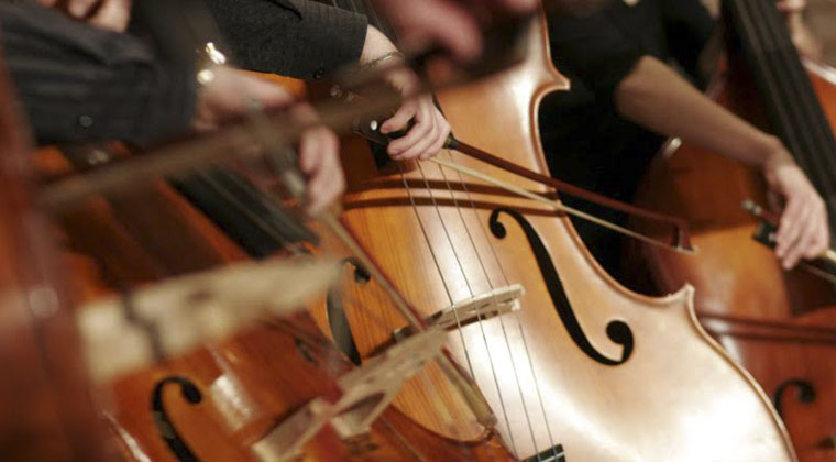 杭州大提琴老師