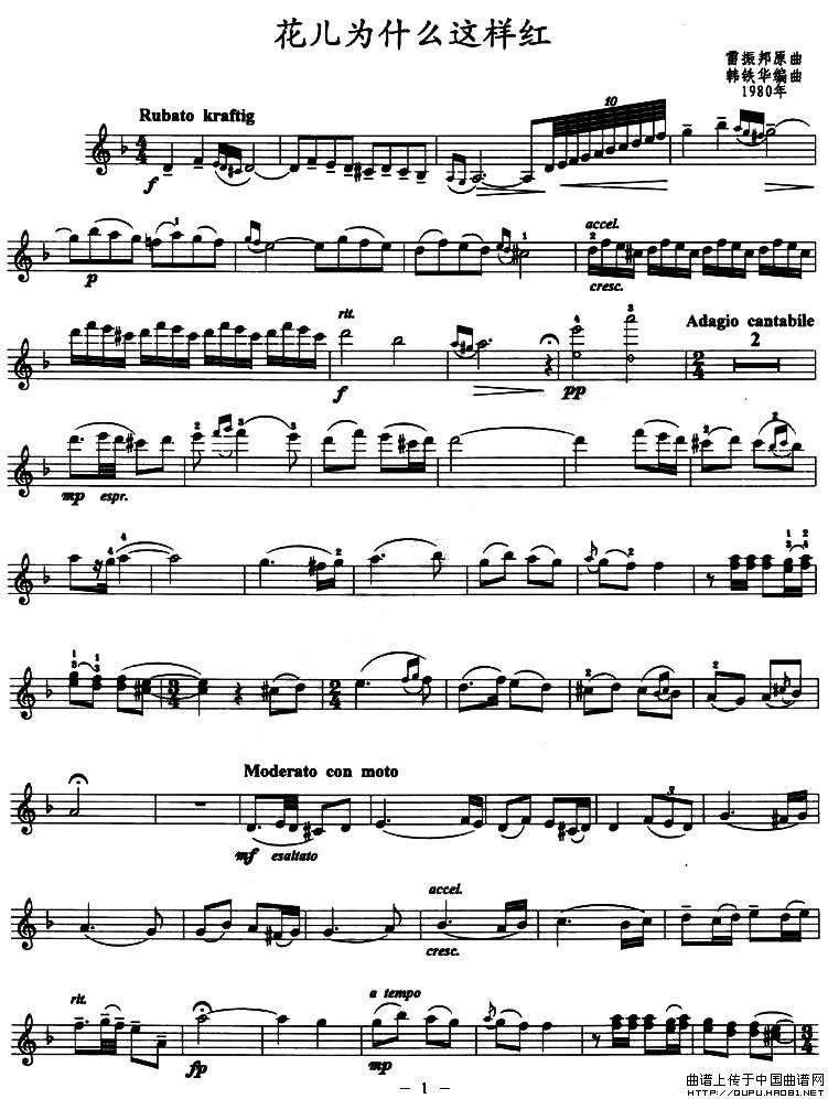 花兒為什么這樣紅小提琴