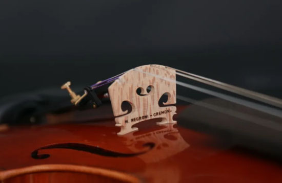 好好對待你的朋友：平日如何保養提琴？