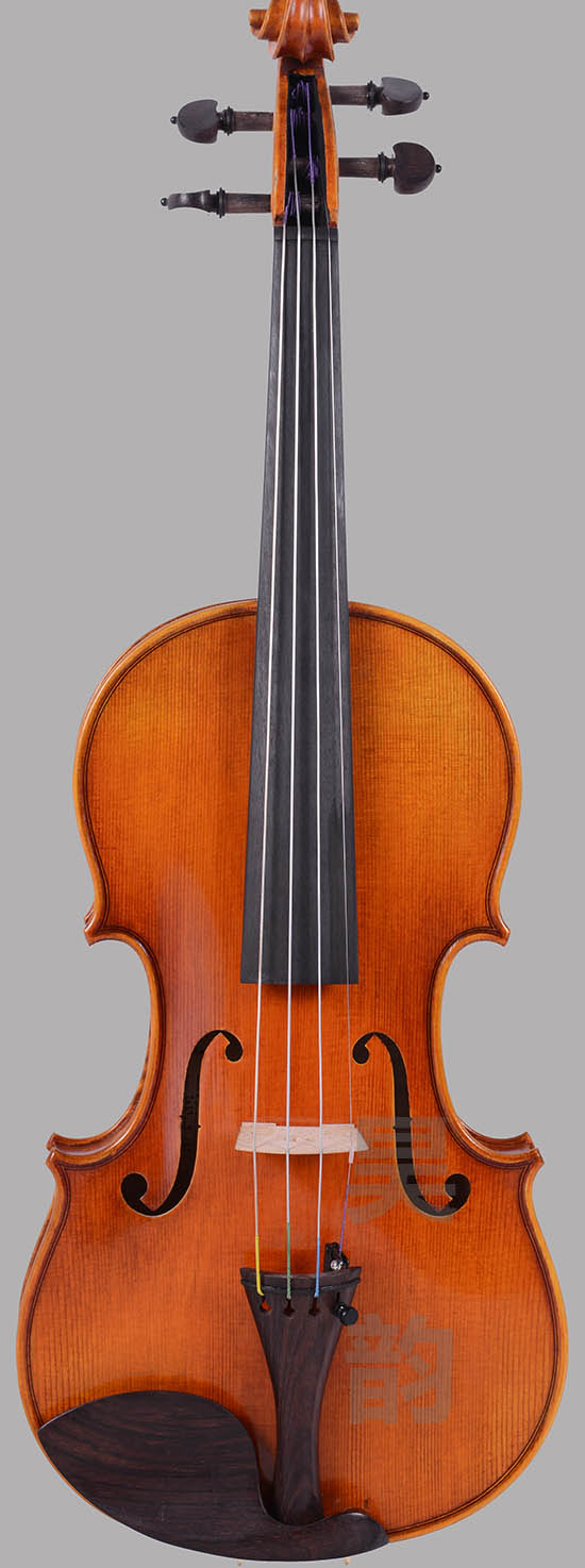 小提琴專業(yè)級(jí)