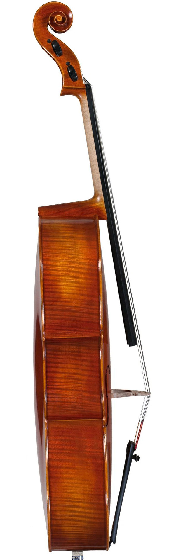 大提琴側(cè)板