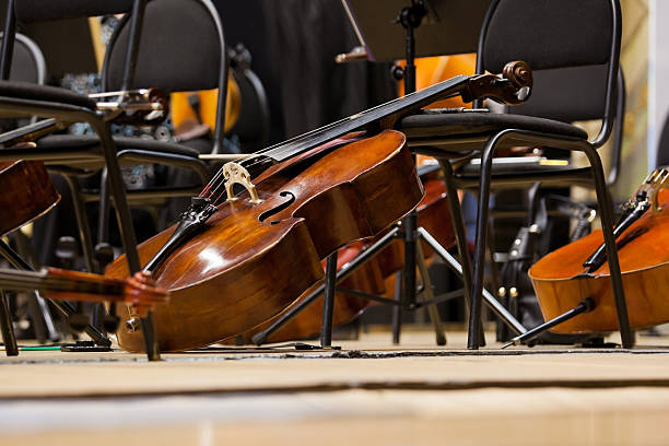 如何保養你的大提琴，這是終極指南，趕緊收藏