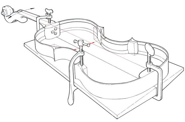 該圖顯示了在將頭部和頸部連接到肋骨后