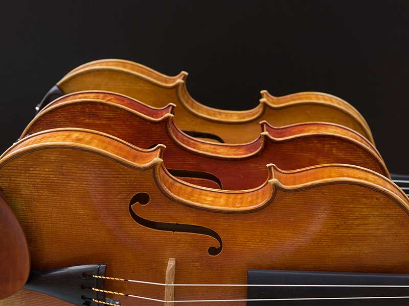 學中提琴有這么多優勢,為什么總是被黑